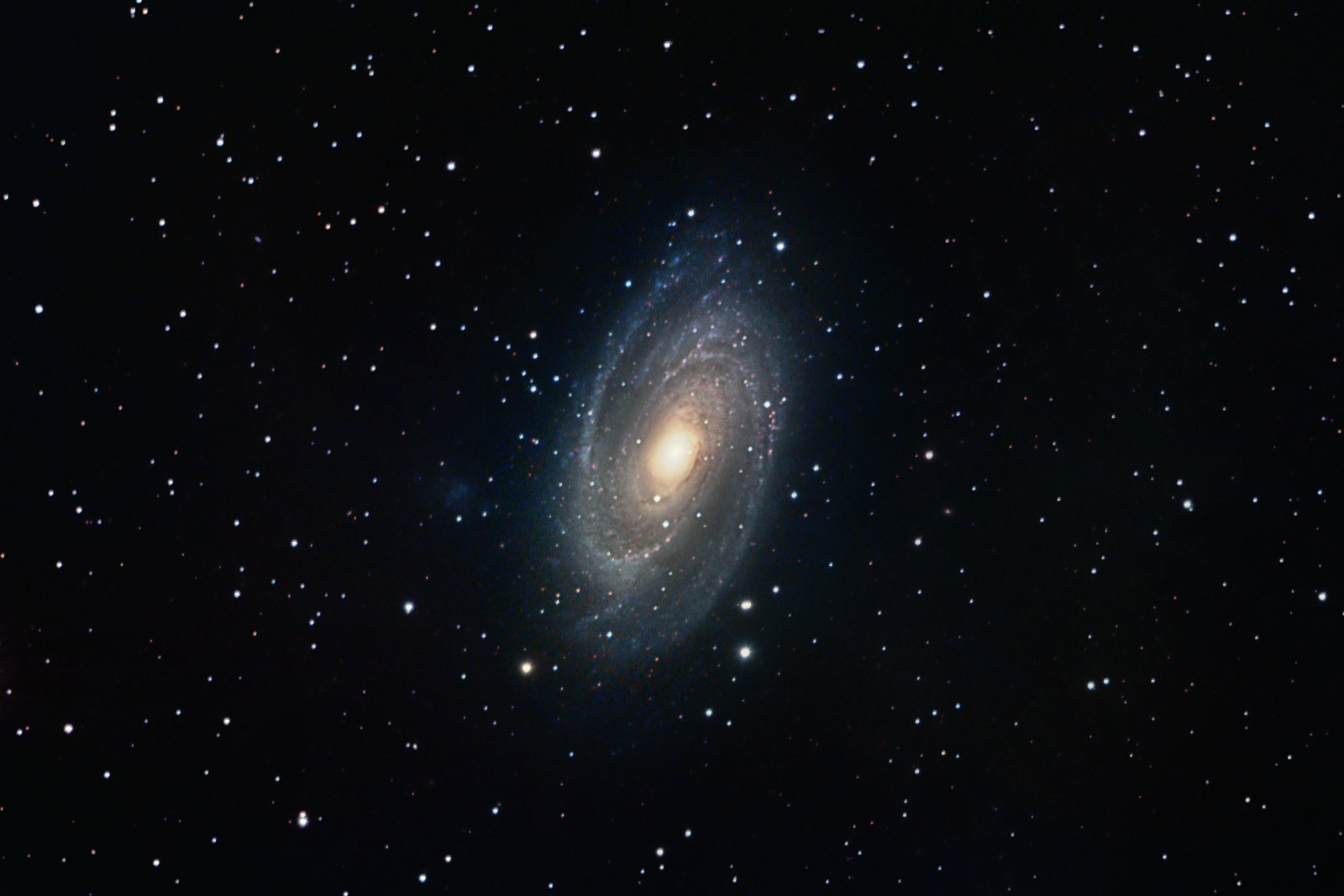 Tele-Optic - Astrofotografie M 81 by Lutz Friedrich