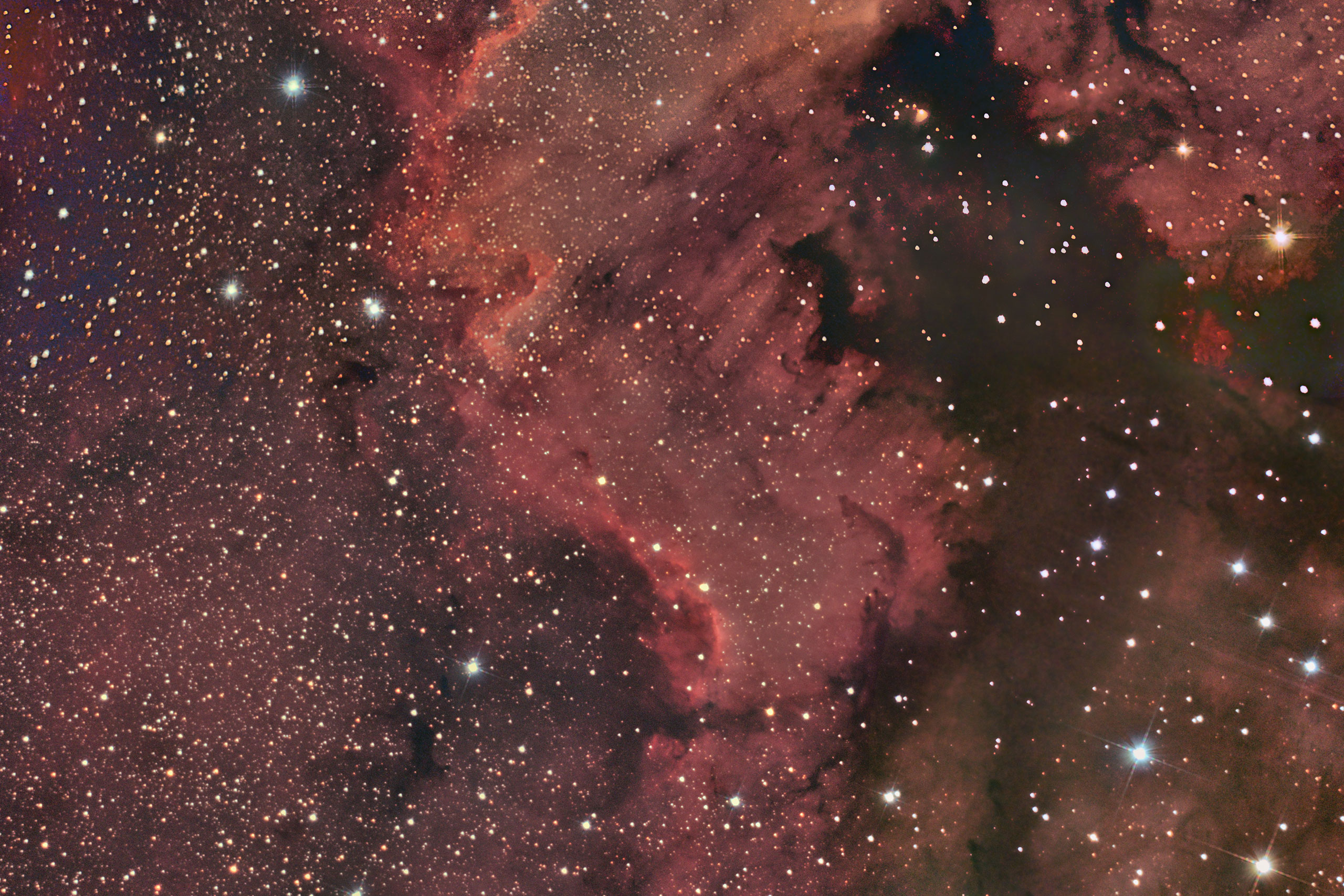 Tele-Optic - Astrofotografie NGC7000 Mosaik by Lutz Friedrich